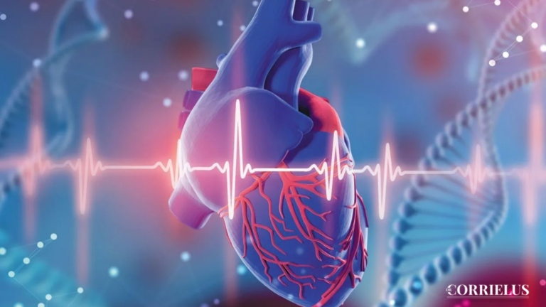 The Role of Genetics in Heart Disease Risk