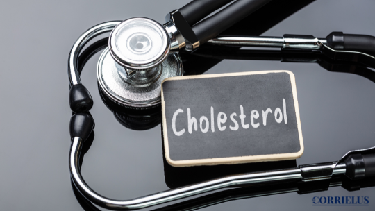 The New Science of Cholesterol: What You Need to Know Now